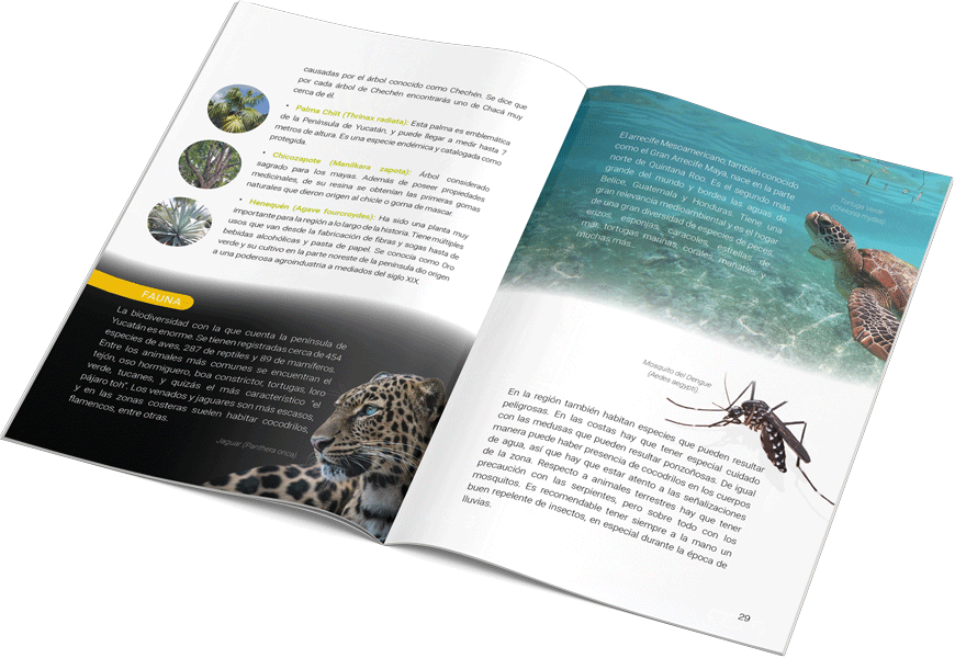 mexican-southeast-guide-ian-rios-
